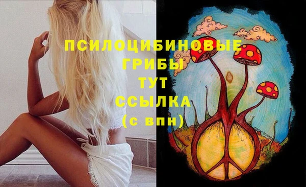 спайс Кинешма