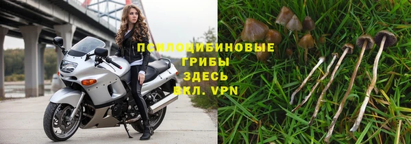 спайс Кинешма